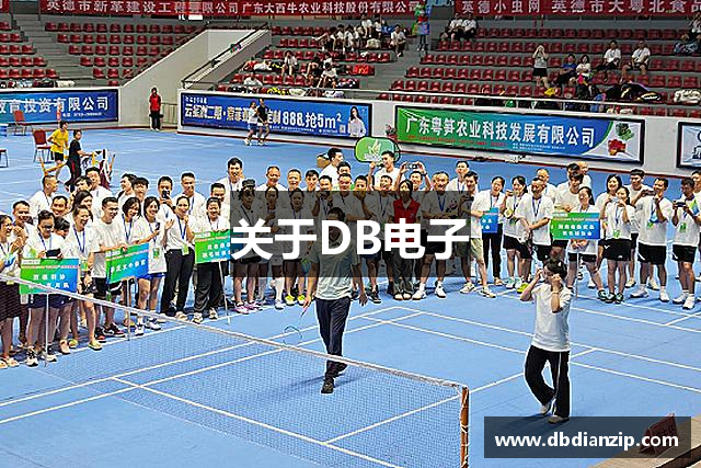 关于DB电子